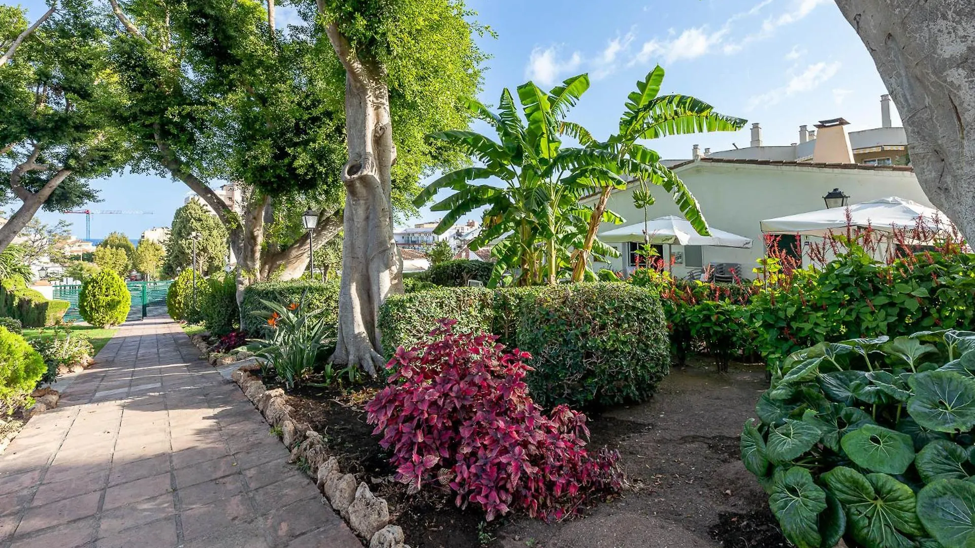 Carihuela Torremolinos With Pool And Free Parking 5 M Beach Apartment